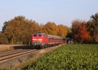218 448 am 20.10.12 zwischen Salzgitter-Ringelheim und Söderhof.